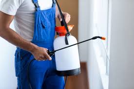 Best Residential Pest Control  in Santa Barbara, CA